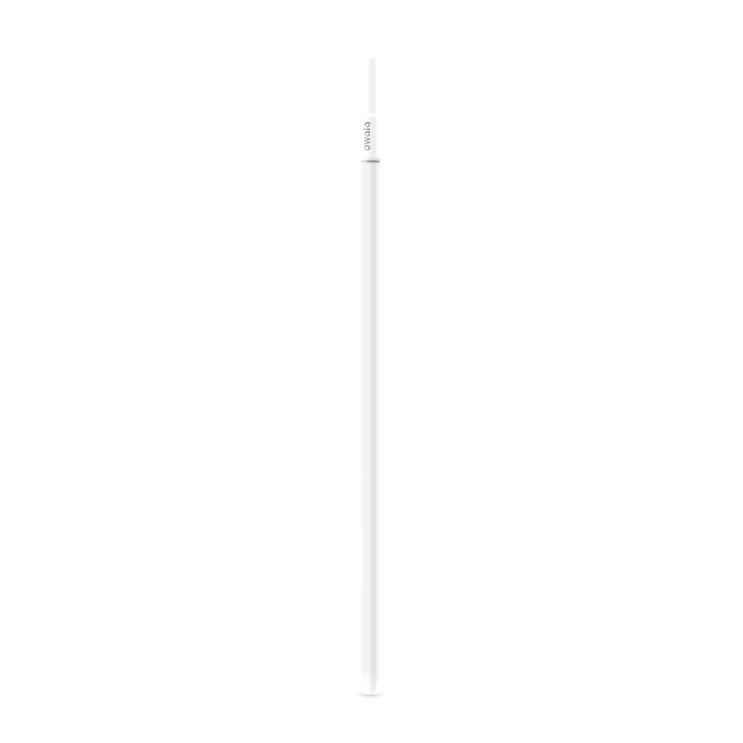Replacement Straws Water Bottle EE6KEW6BMS