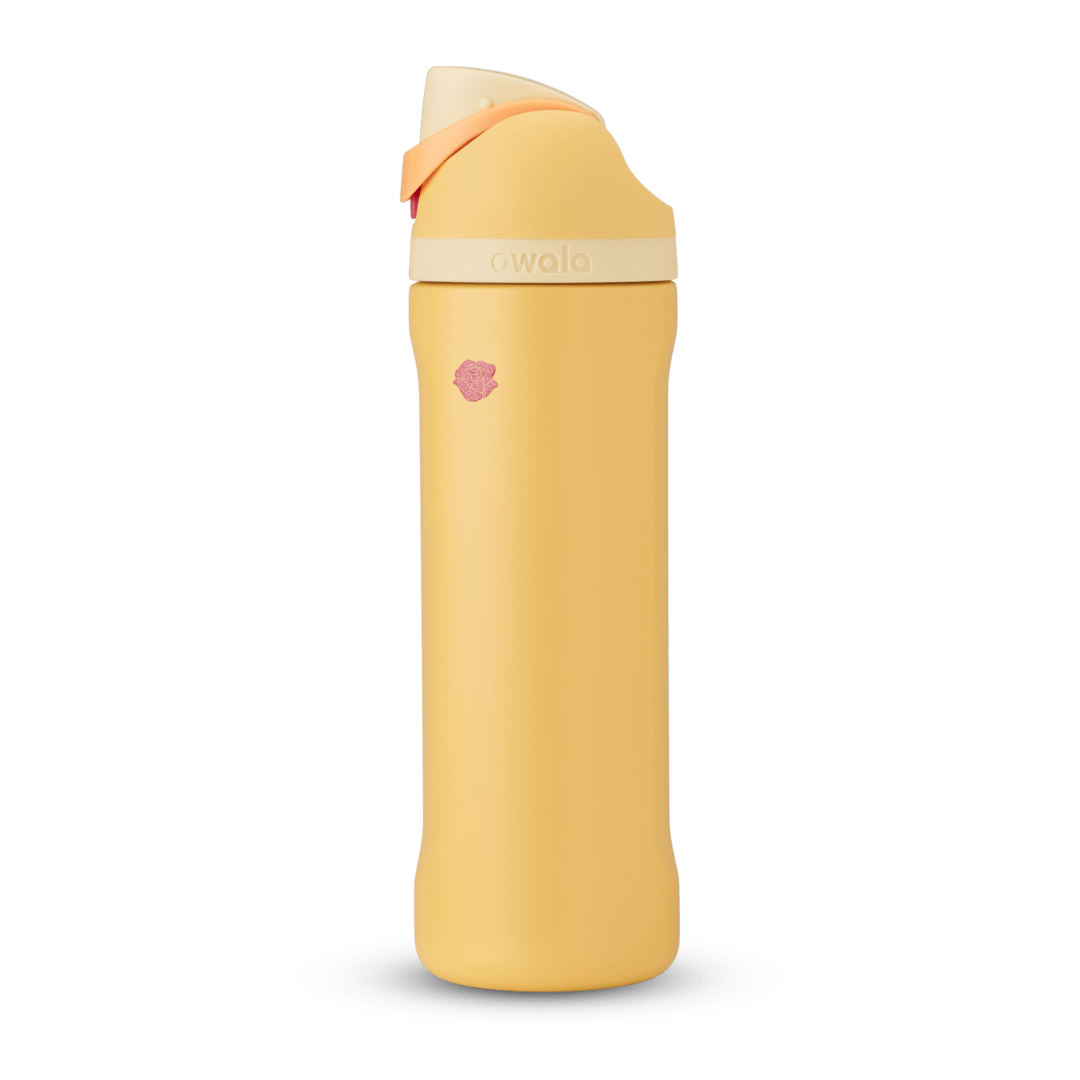 Disney Princess Collection Water Bottle R4BMMT