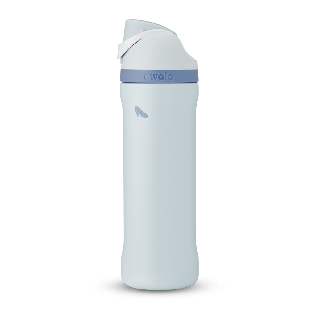 Disney Princess Collection Water Bottle R4BMMT
