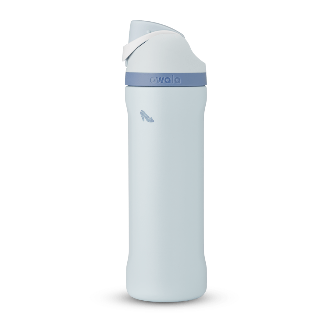 Disney Princess Collection Water Bottle R4BMMT