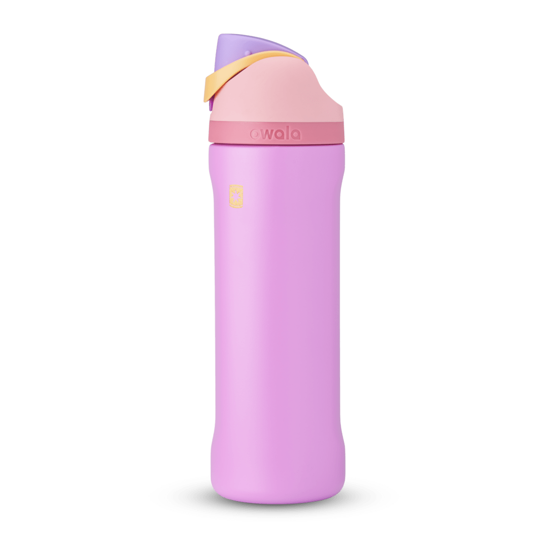 Disney Princess Collection Water Bottle R4BMMT