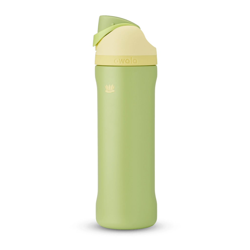 Disney Princess Collection Water Bottle R4BMMT