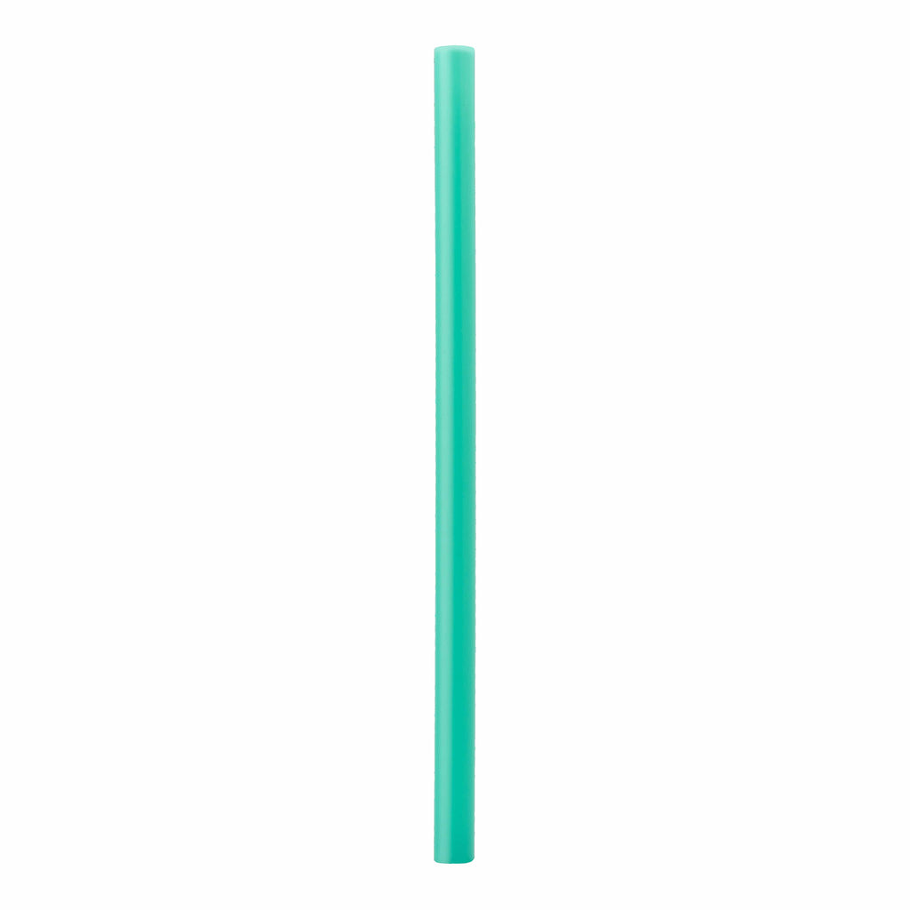 Replacement Straws Water Bottle EE6KEW6BMS