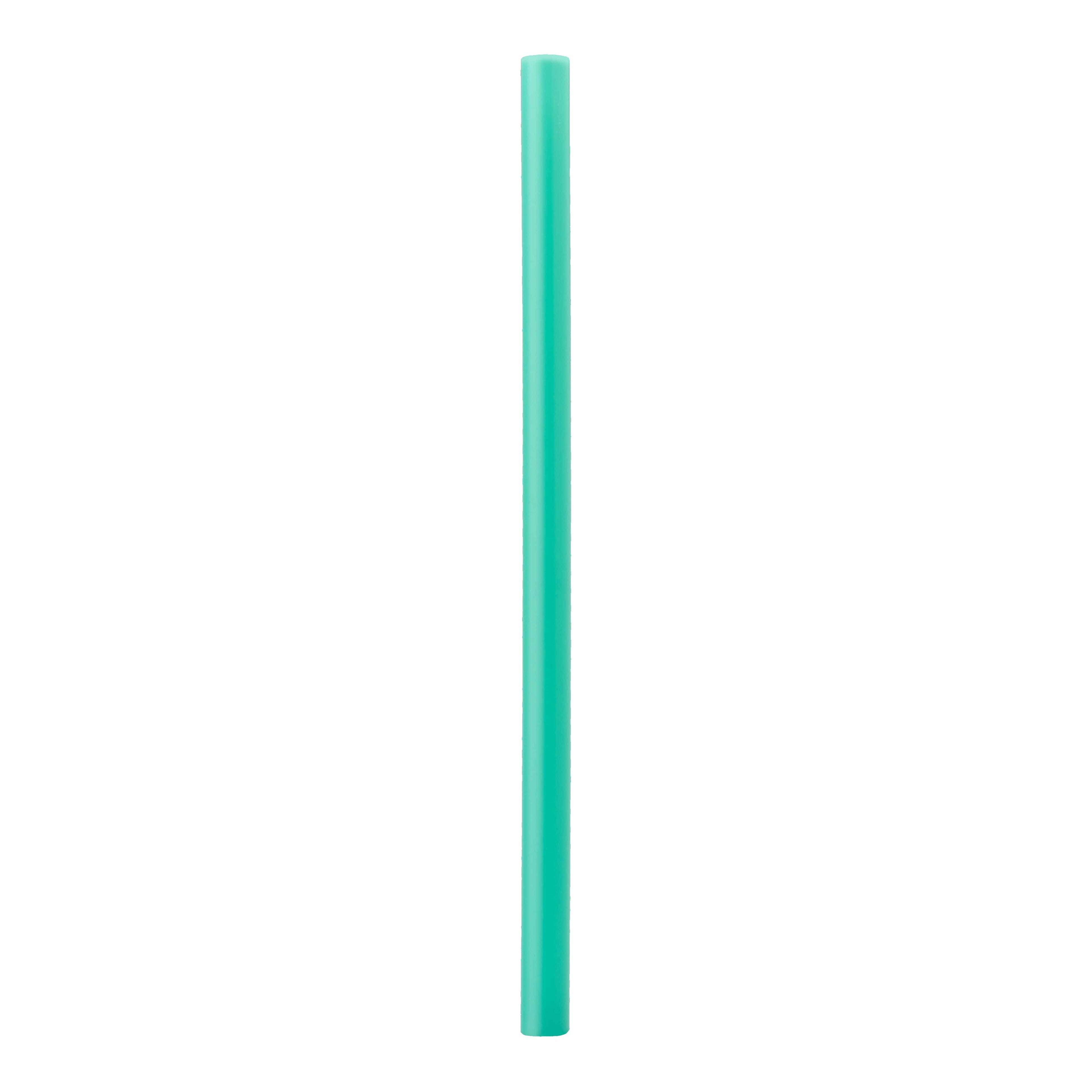 Replacement Straws Water Bottle EE6KEW6BMS